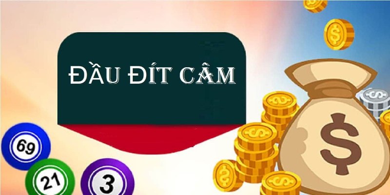 Nuôi khung 5 ngày theo đầu câm hoặc đuôi câm